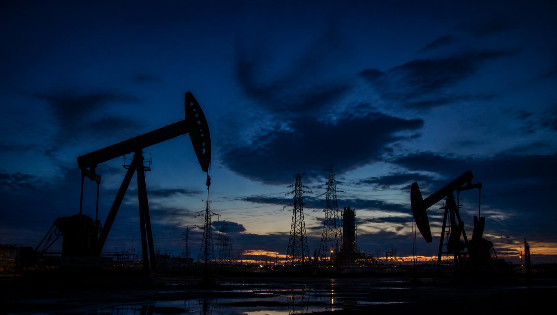 Heavy-oil field with pumpjacks and power infrastructure at blue hour